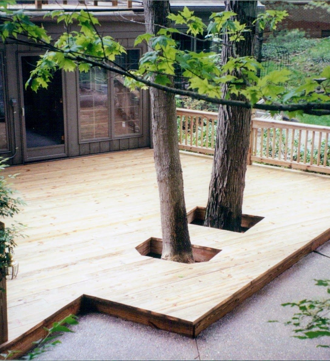 A wooden deck with two trees in the middle