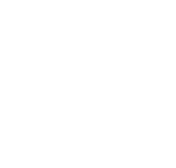 TIMBRIFICIO PIOVESE - TIMBRI - TARGHE - LOGO