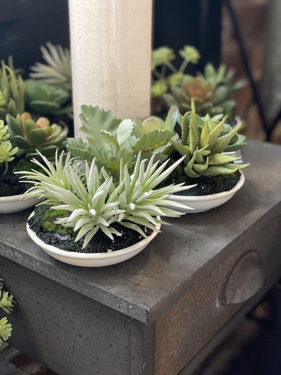 Prairie In Bloom Marketplace Home Decorating Omaha, Nebraska