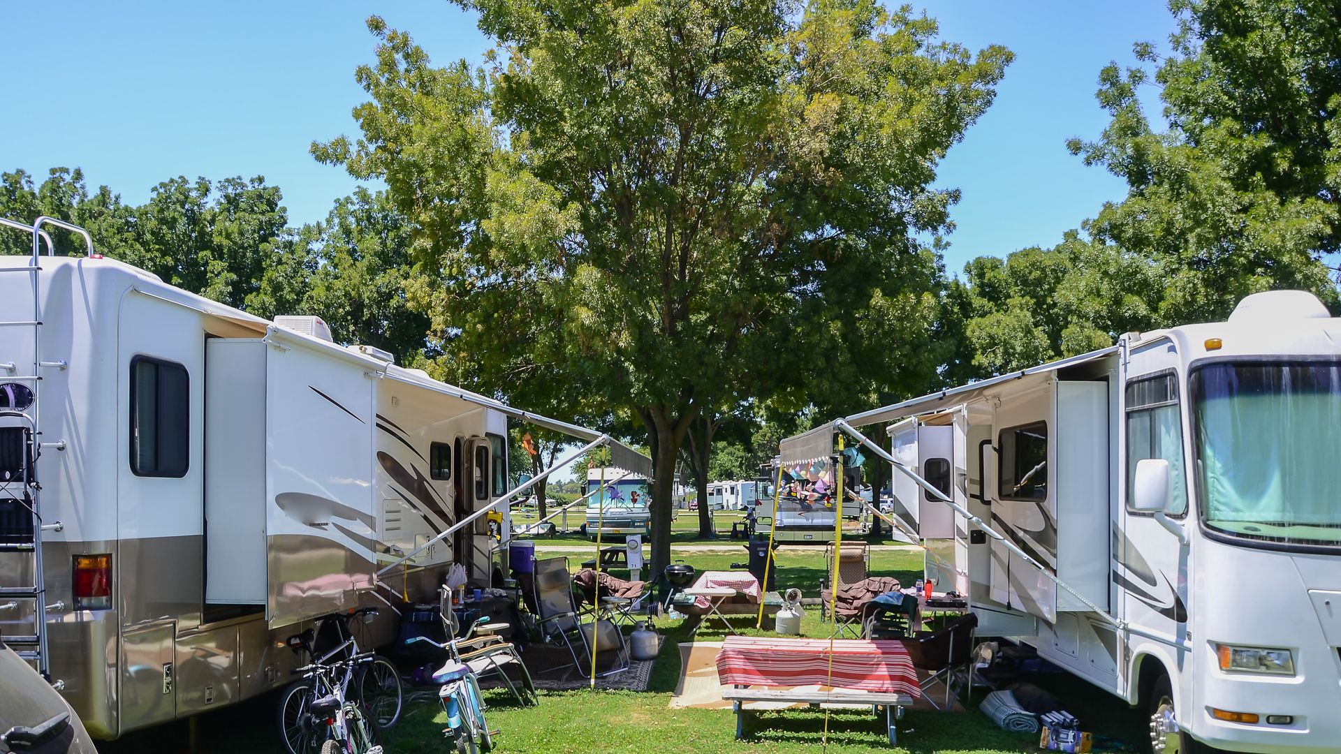 a row of rvs parked in a grassy area next to trees .