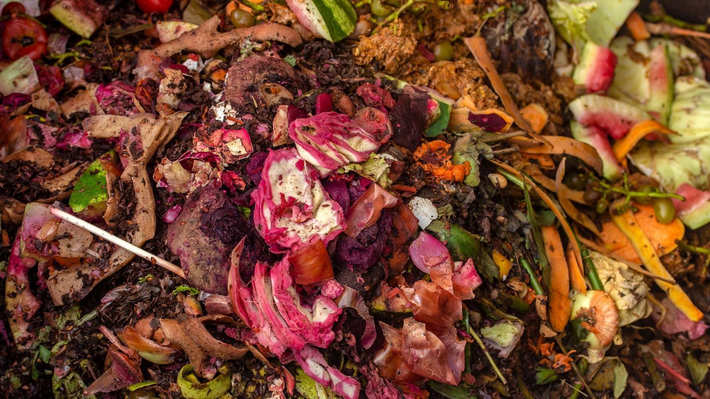 Compost pile with mixed food scraps and yard waste, visible colors include brown, red, green, and orange.