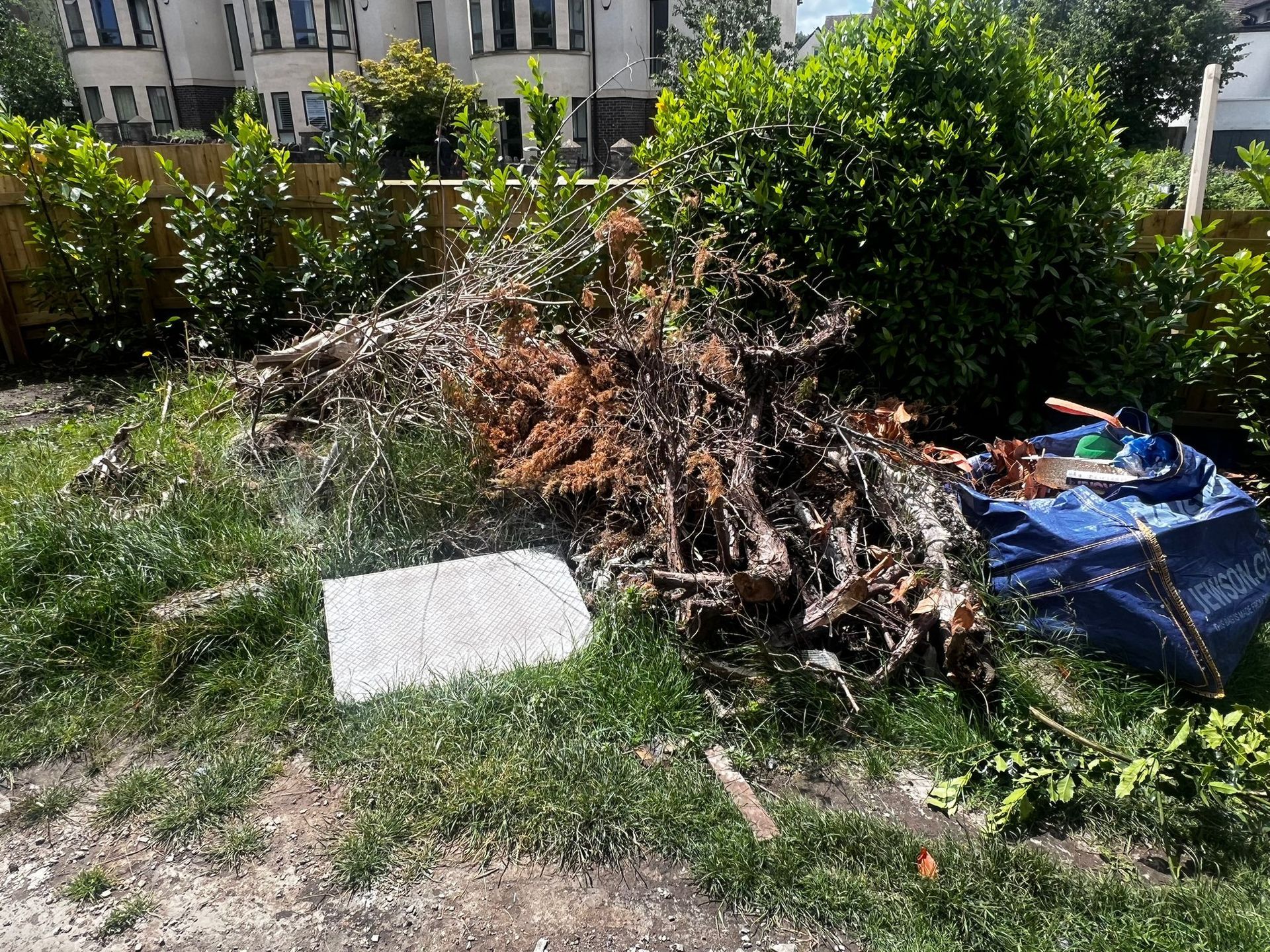Pile of yard waste and branches beside a blue tarp in a sunny garden area