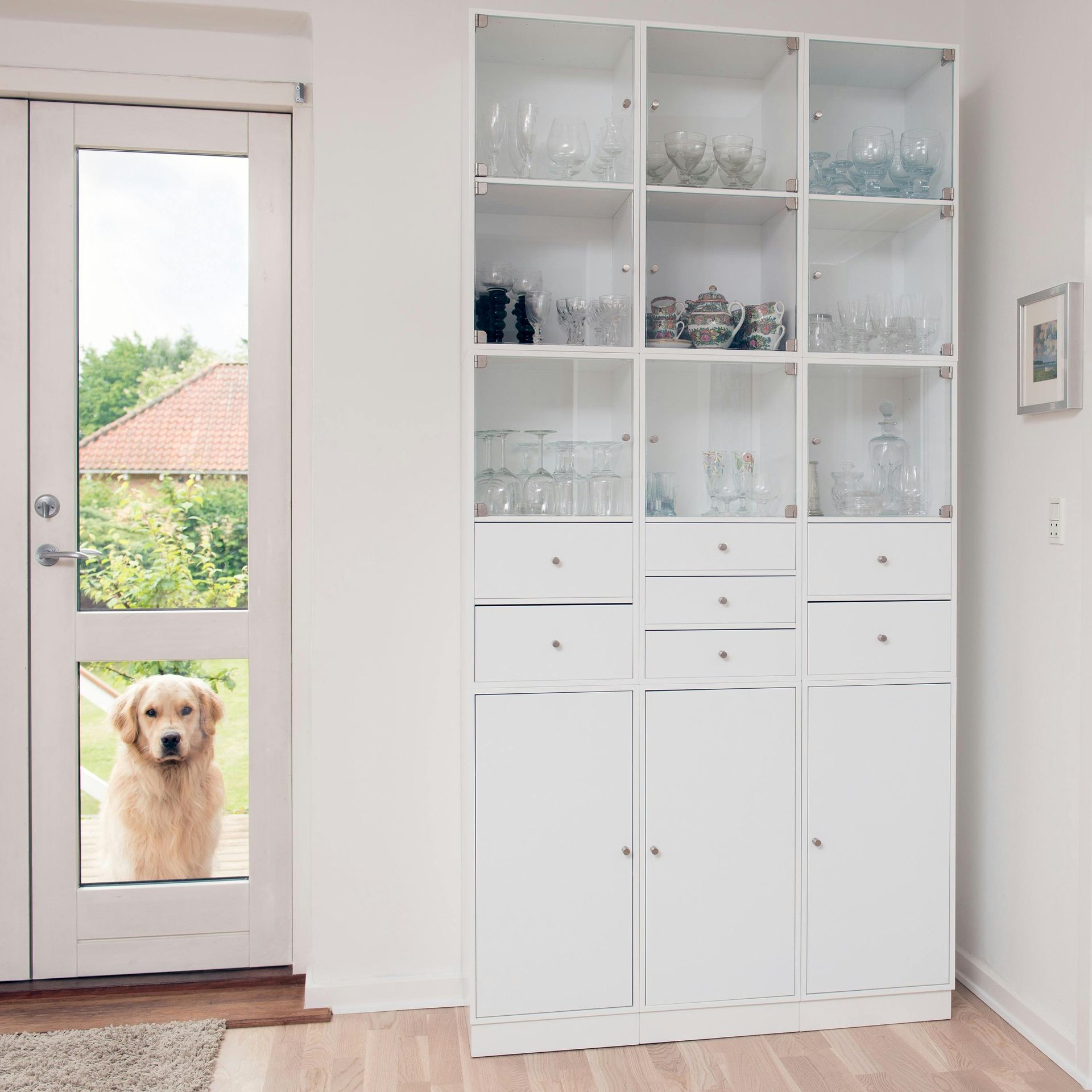 Golden retriever looking through glass door, white cabinet with glassware.