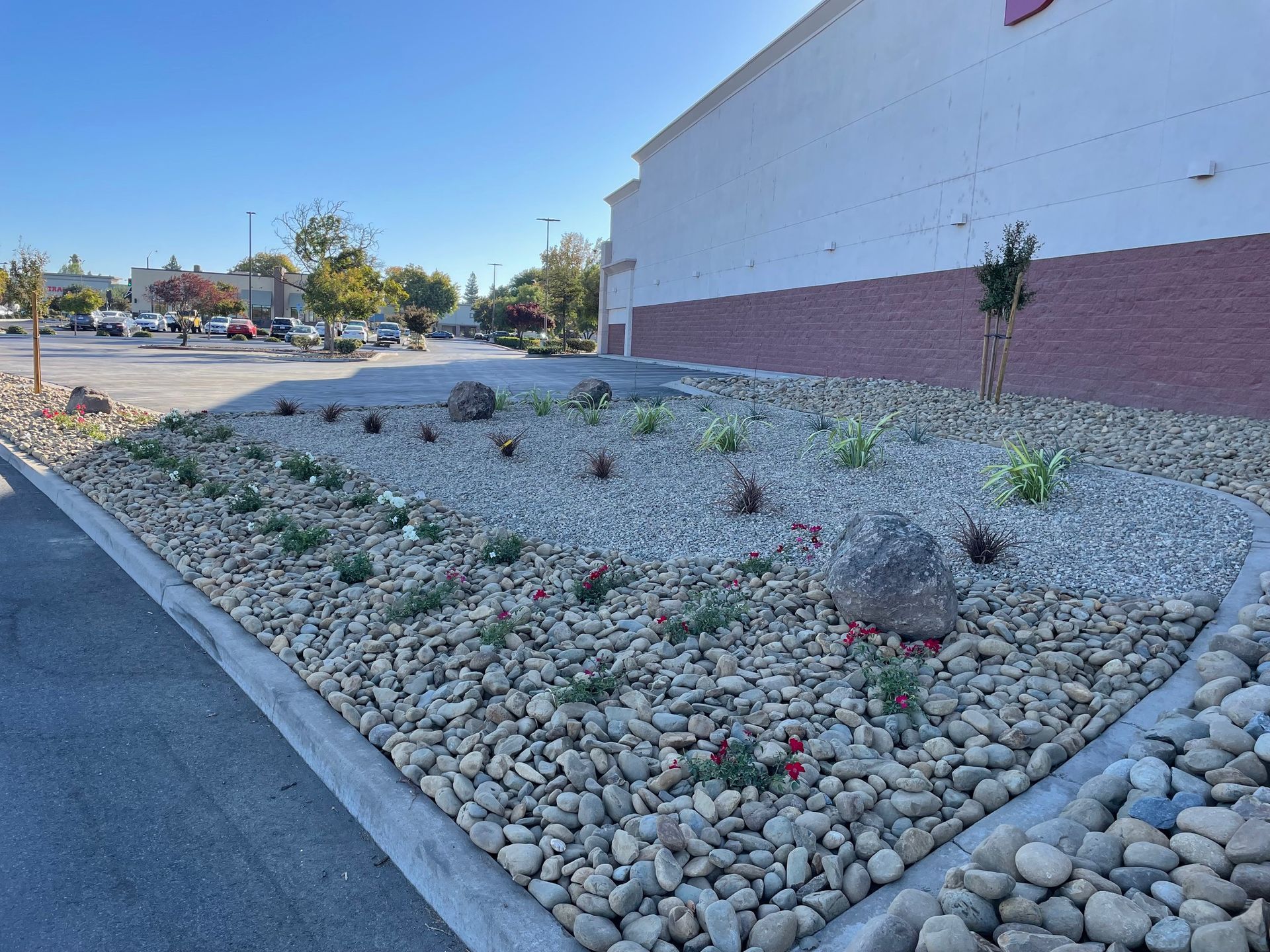 A garden with rocks and plants in front of a building.