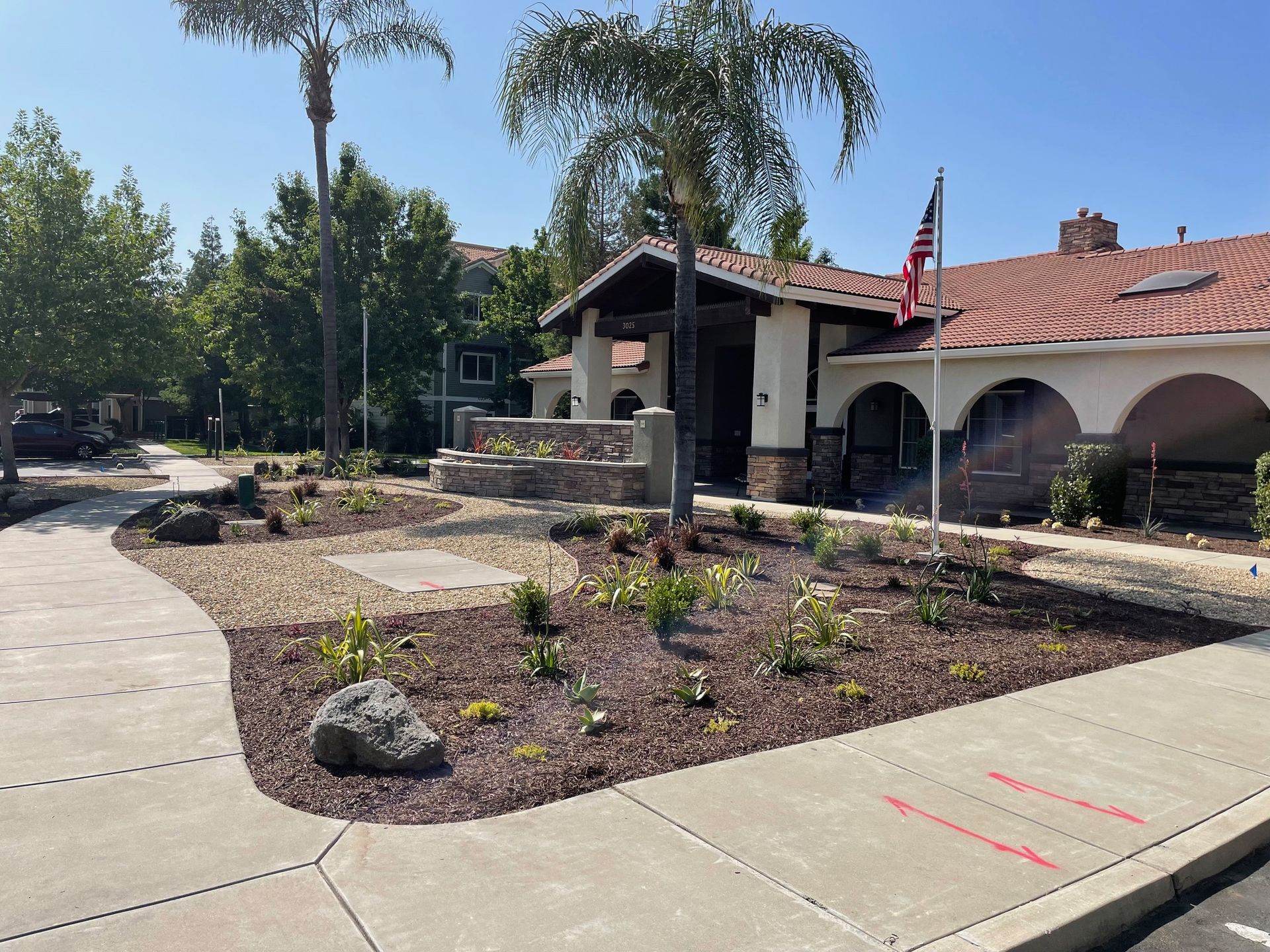 A large building with a palm tree in front of it.