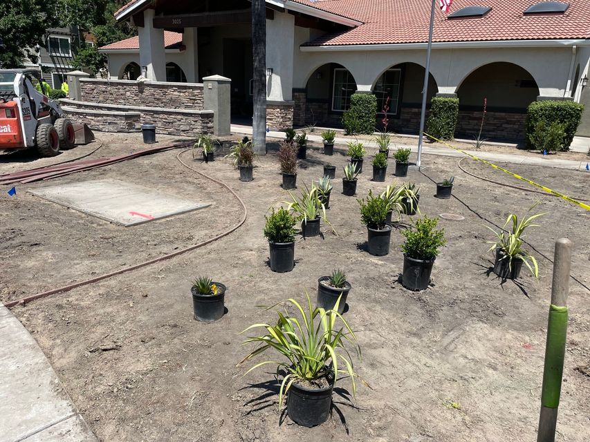 A lot of potted plants are sitting in the dirt in front of a house.