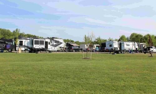 a row of rvs parked in a grassy field .