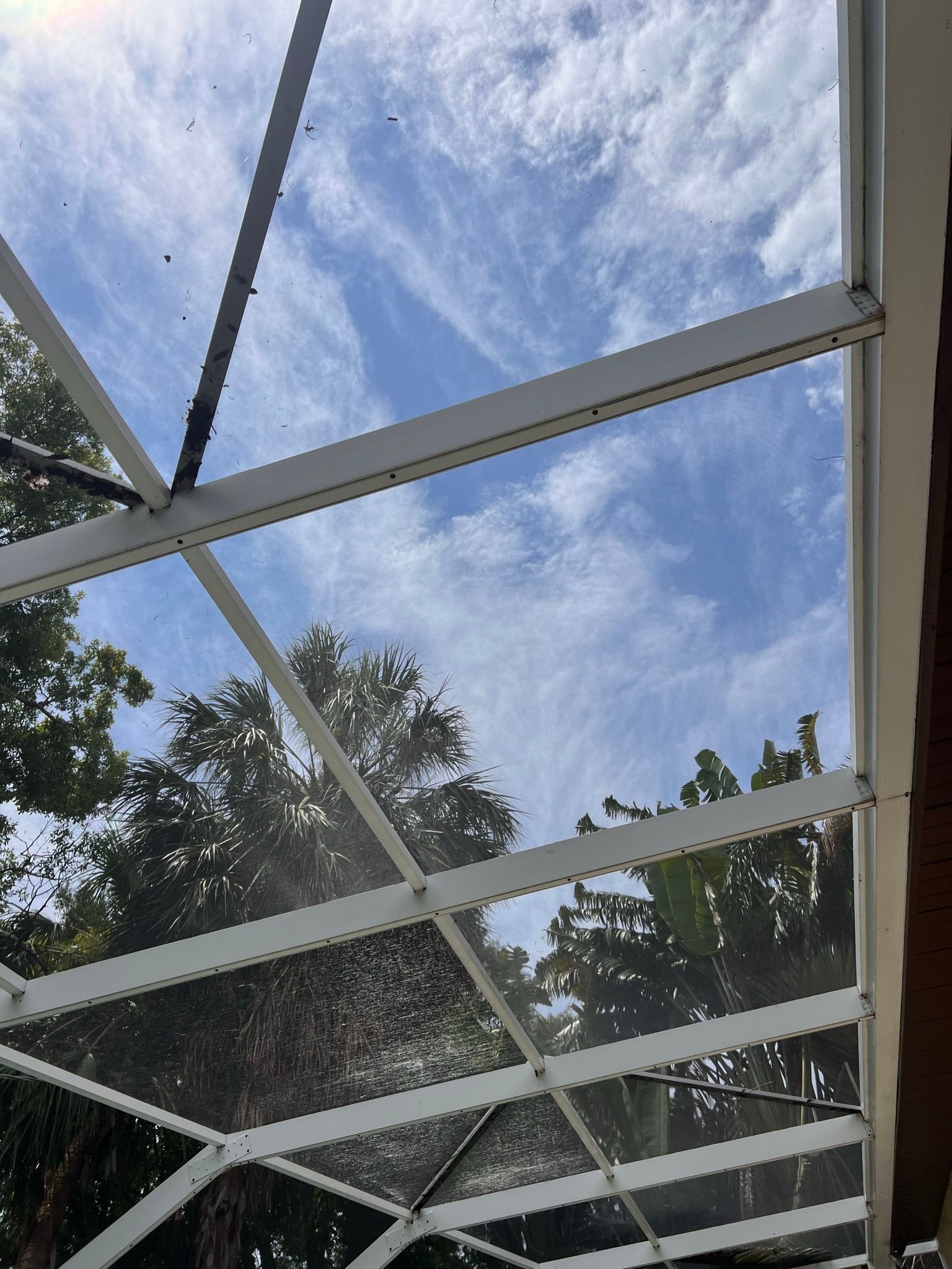 screen repair on pool screen roof