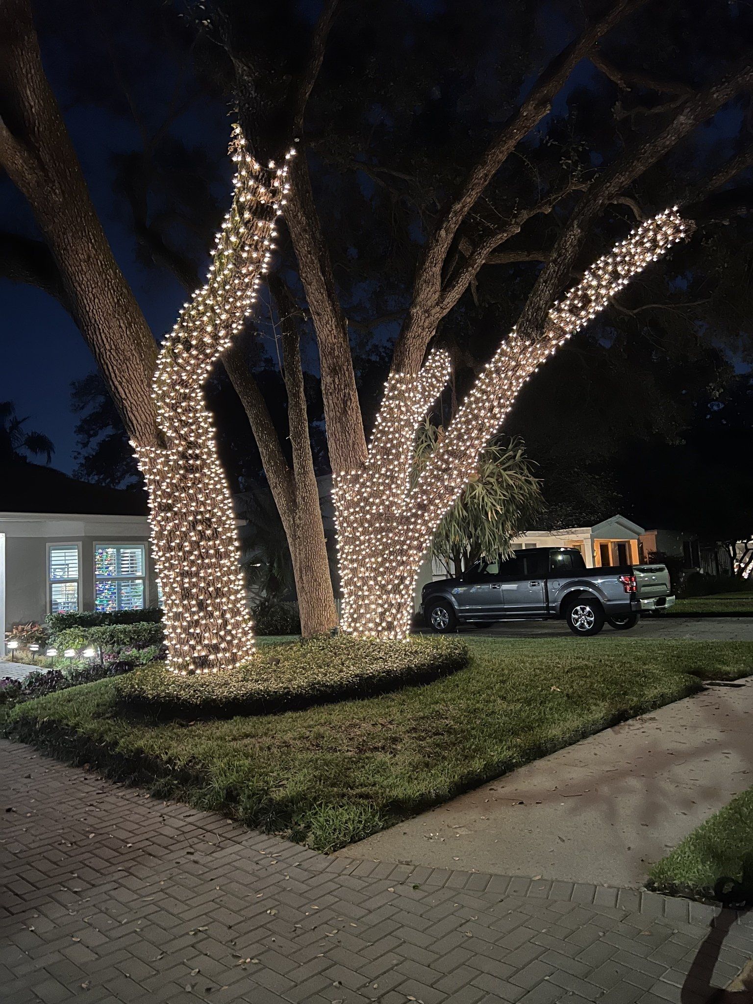 Christmas light installation in tampa and South Tampa