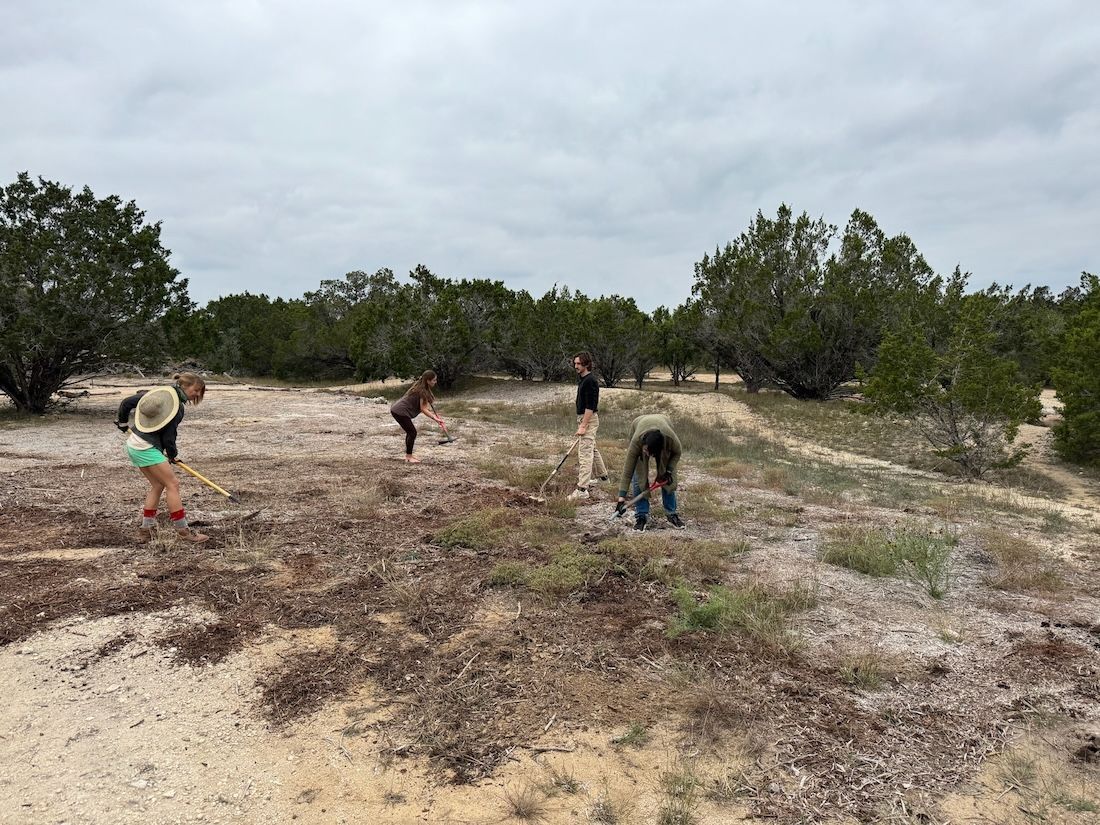 Four people in a field, preparing the ground for seed sowing, among shrubs under a cloudy sky.