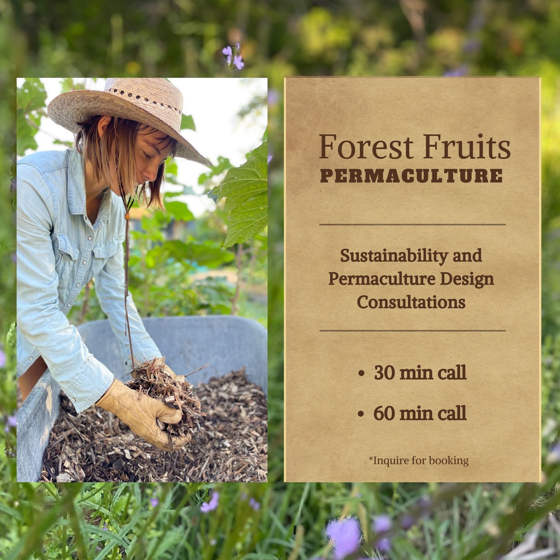 Forest Fruits Permaculture Sustainability and Permaculture Design Consultations