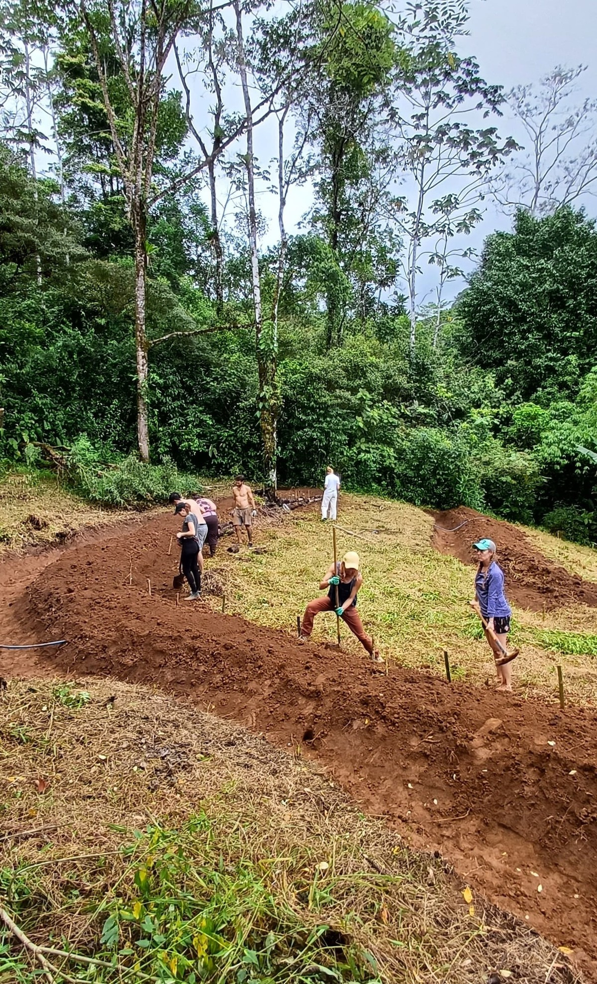 Marlo Blythe Weekley and other students building a tall, curved berm in a wooded area. Several people are digging and moving soil. Overcast sky.