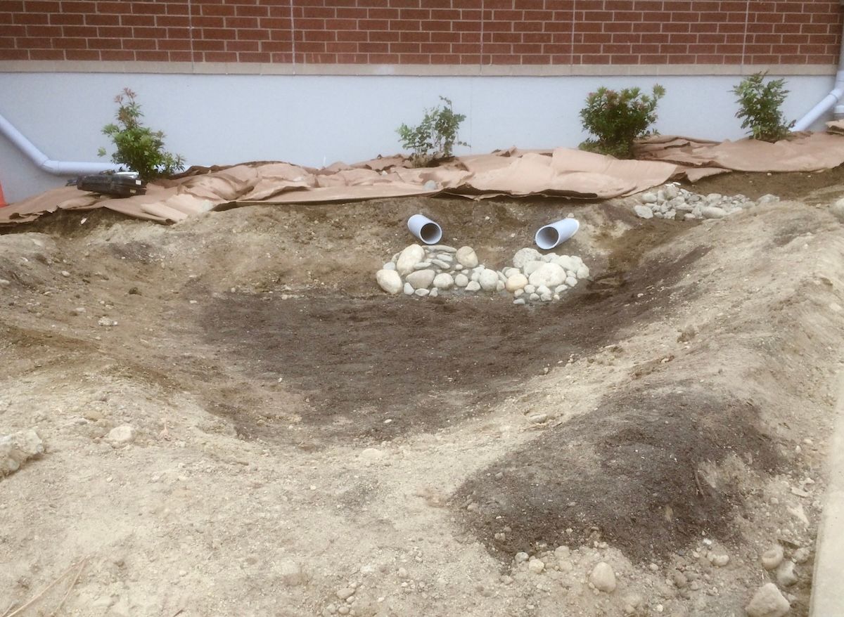 Excavated soil around two drainage pipes exiting a building foundation, with small plants, cardboard covering their roots, and a brick wall in the background.