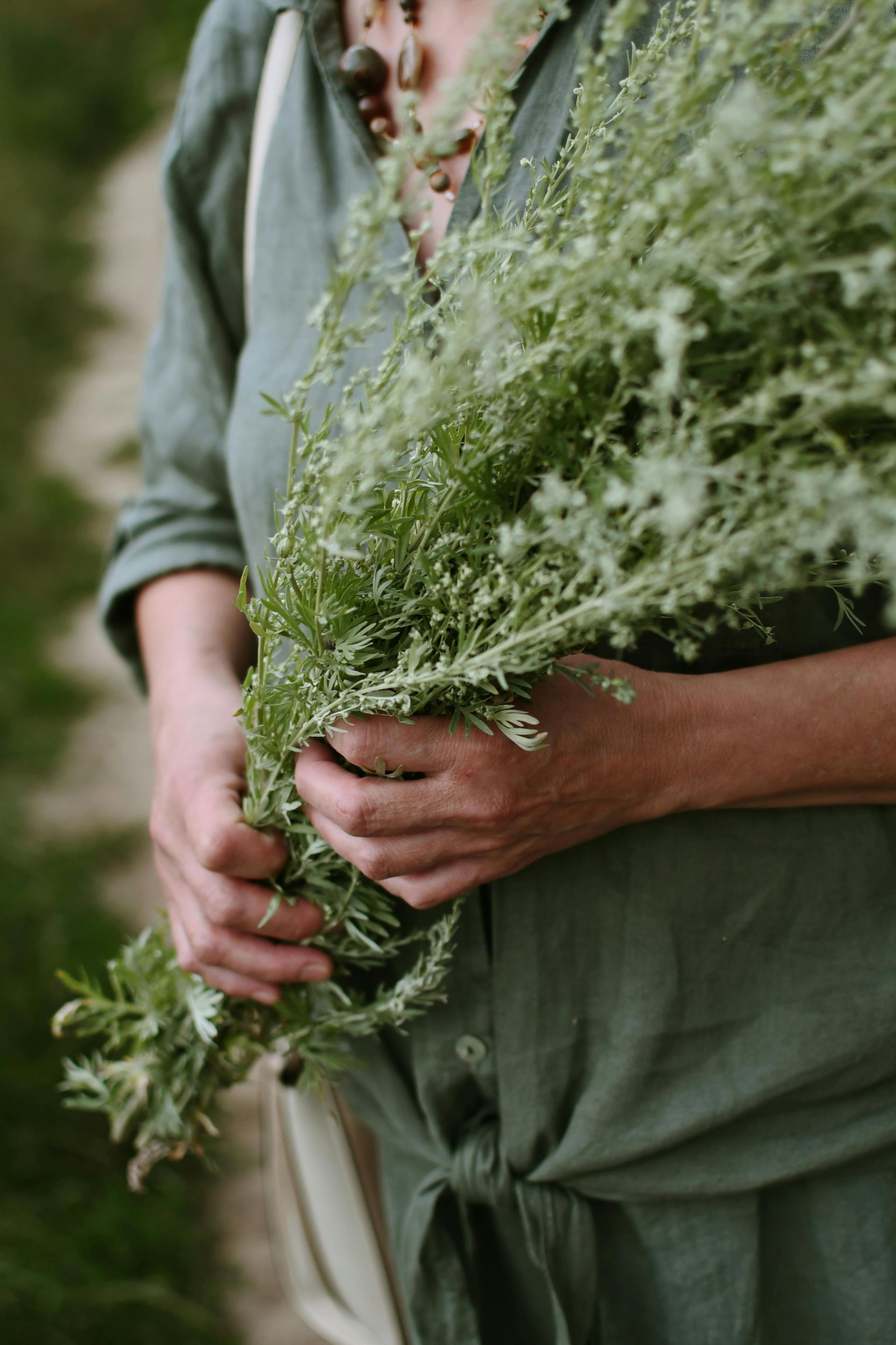 A person in an olive green shirt holds a large bunch of fresh, leafy green herbs against a natural, blurred background.