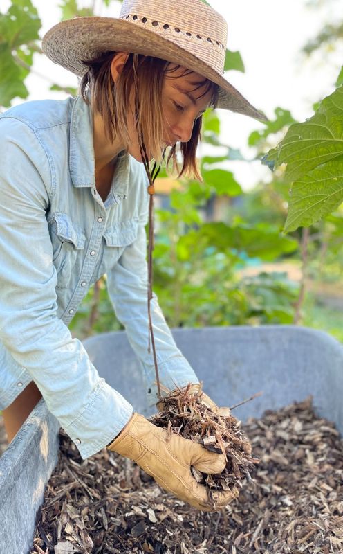 Woman in straw hat gardening, holding handful of mulch and dirt in front of a wheelbarrow, outdoor setting.