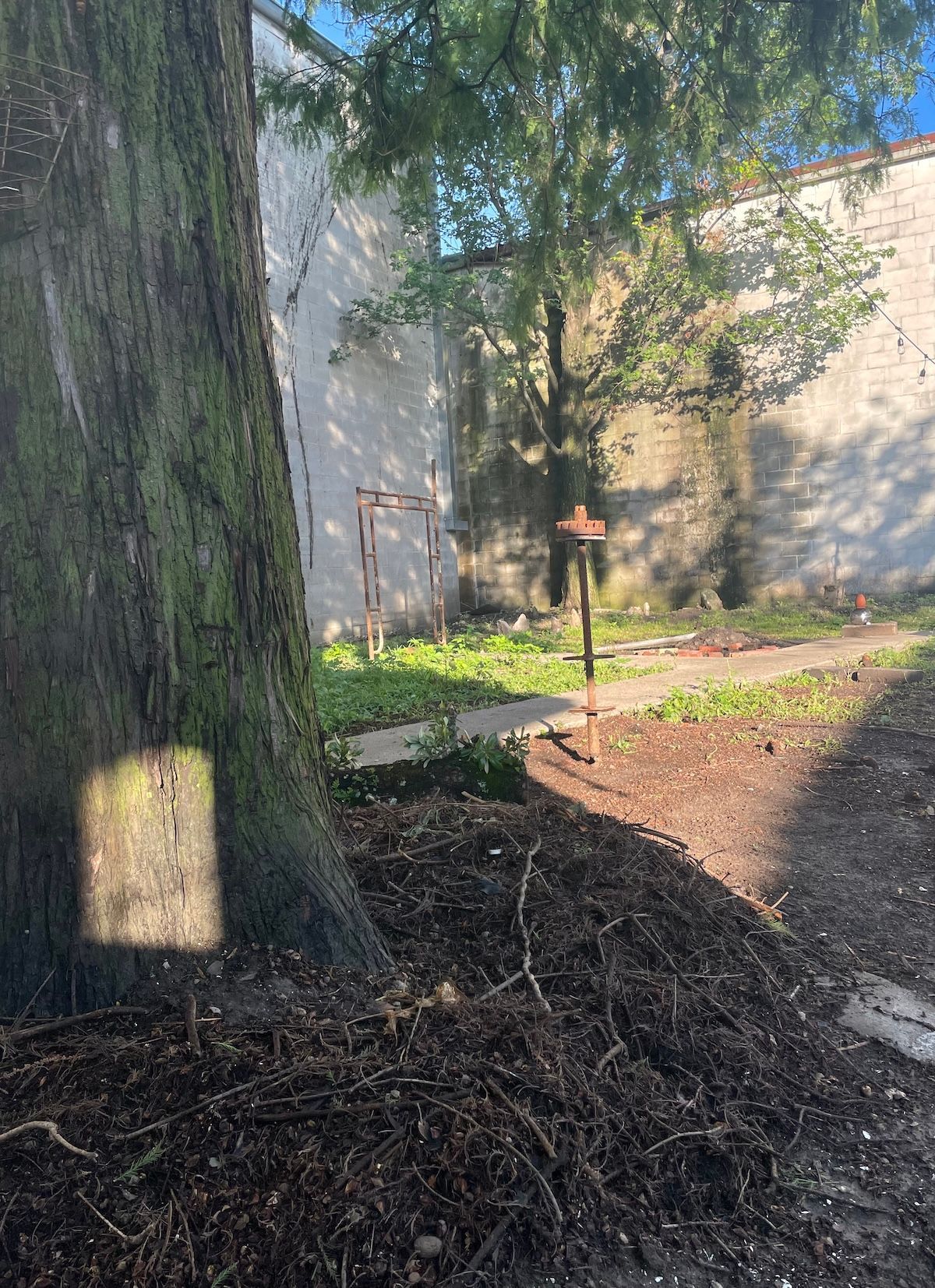 A tree trunk in the foreground, with a garden bed and brick wall in the background. The first Urban Permaculture Rainforest Initiative garden site. There are minimalist industrial sculptural forms in view.