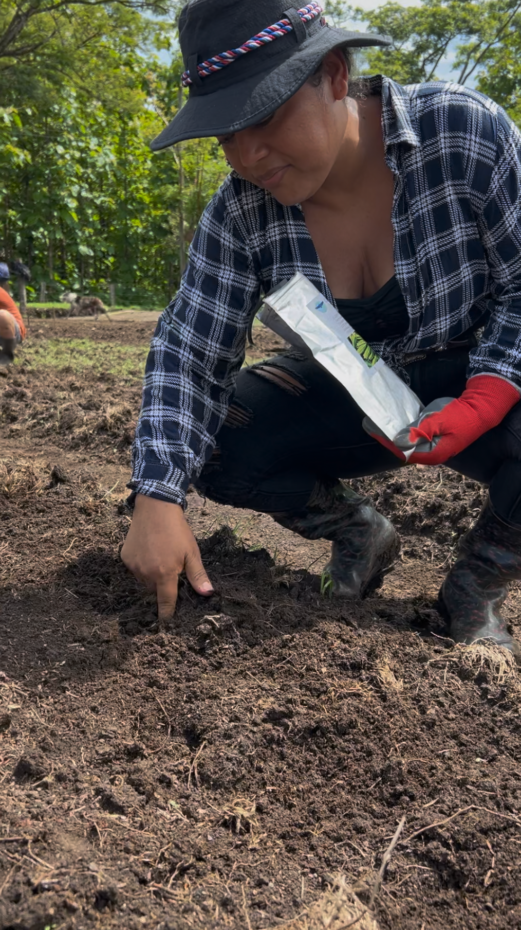 Costa Rican woman planting beans in a garden, holding a seed packet. Wearing a hat, plaid shirt, and gloves.