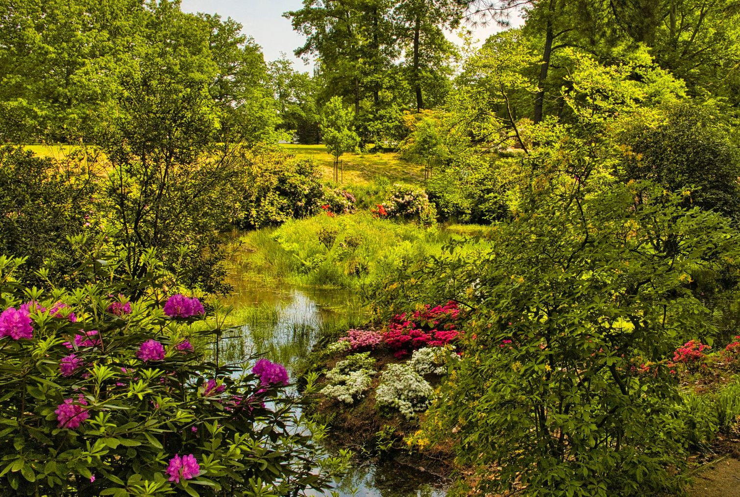 A colorful garden scene with a small pond reflecting trees, pink and white flowers in bloom.