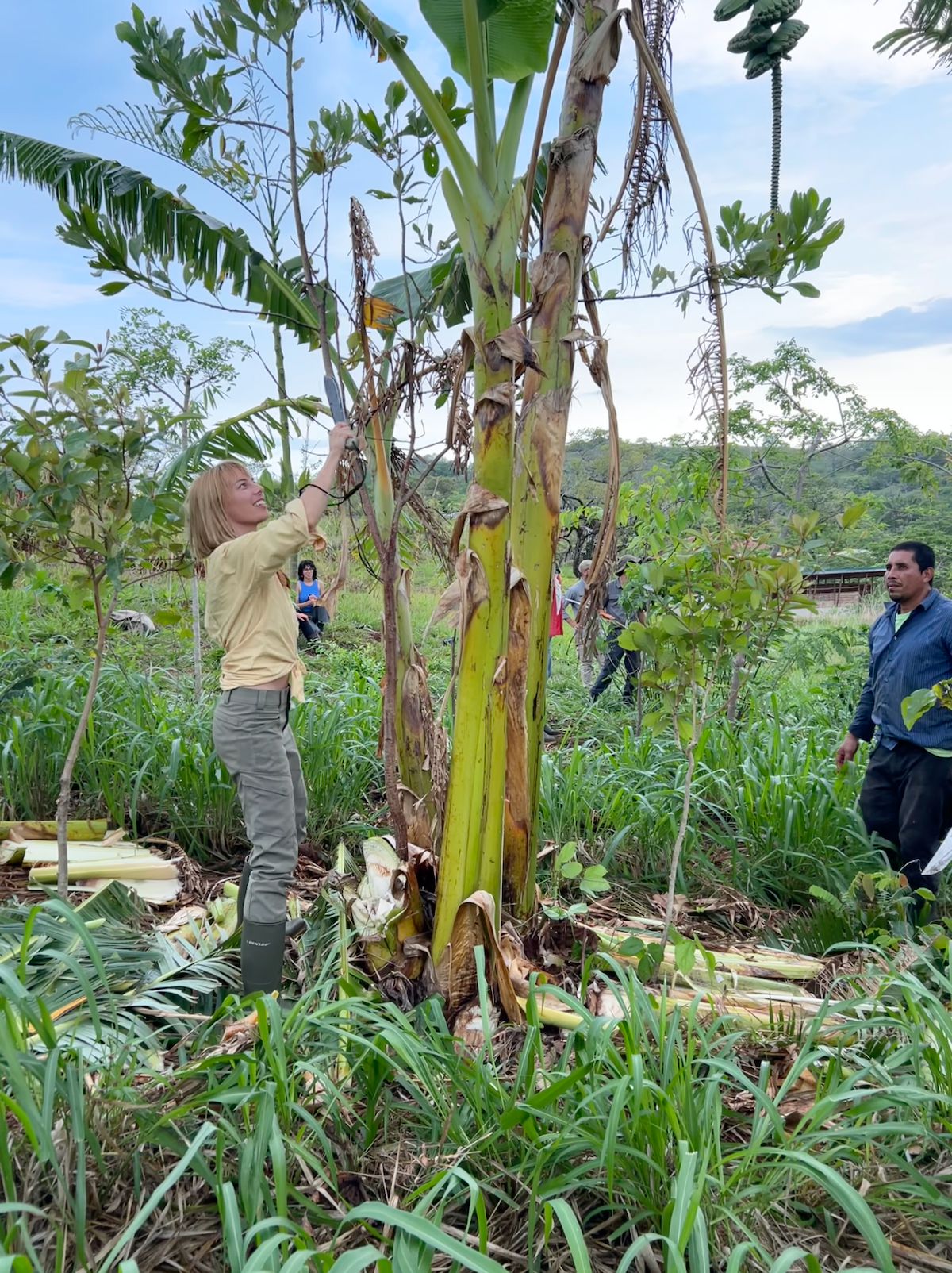 Woman in blue fringe costume with arms raised in a grassy field, under an oak tree.