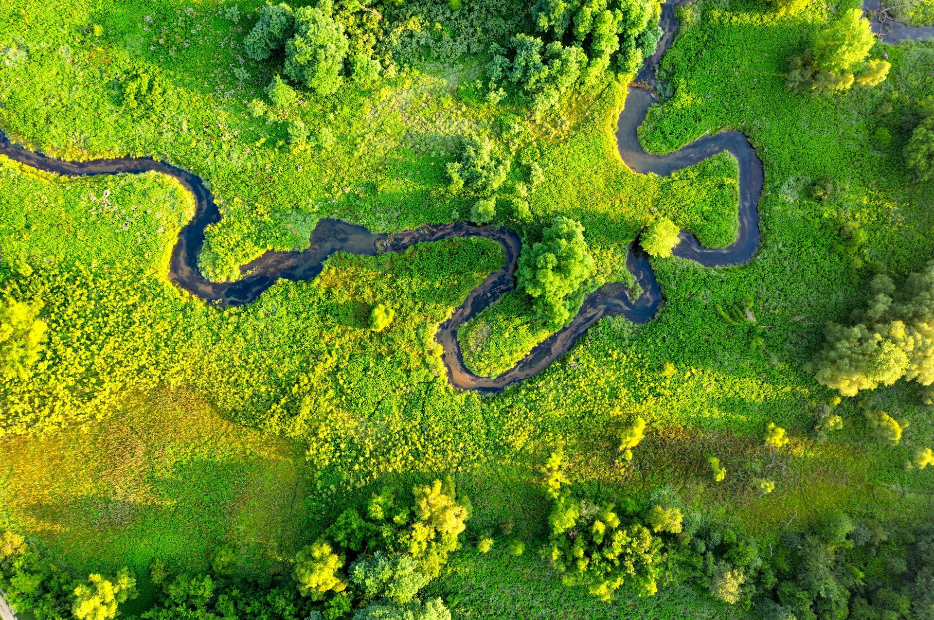 A winding dark stream meanders through a vibrant, lush green wetland landscape viewed from directly overhead.