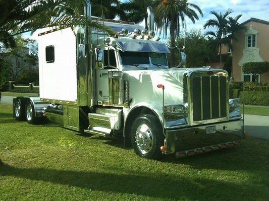 Shiny white semi-truck with chrome accents parked on grass, palm trees and a house in the background.