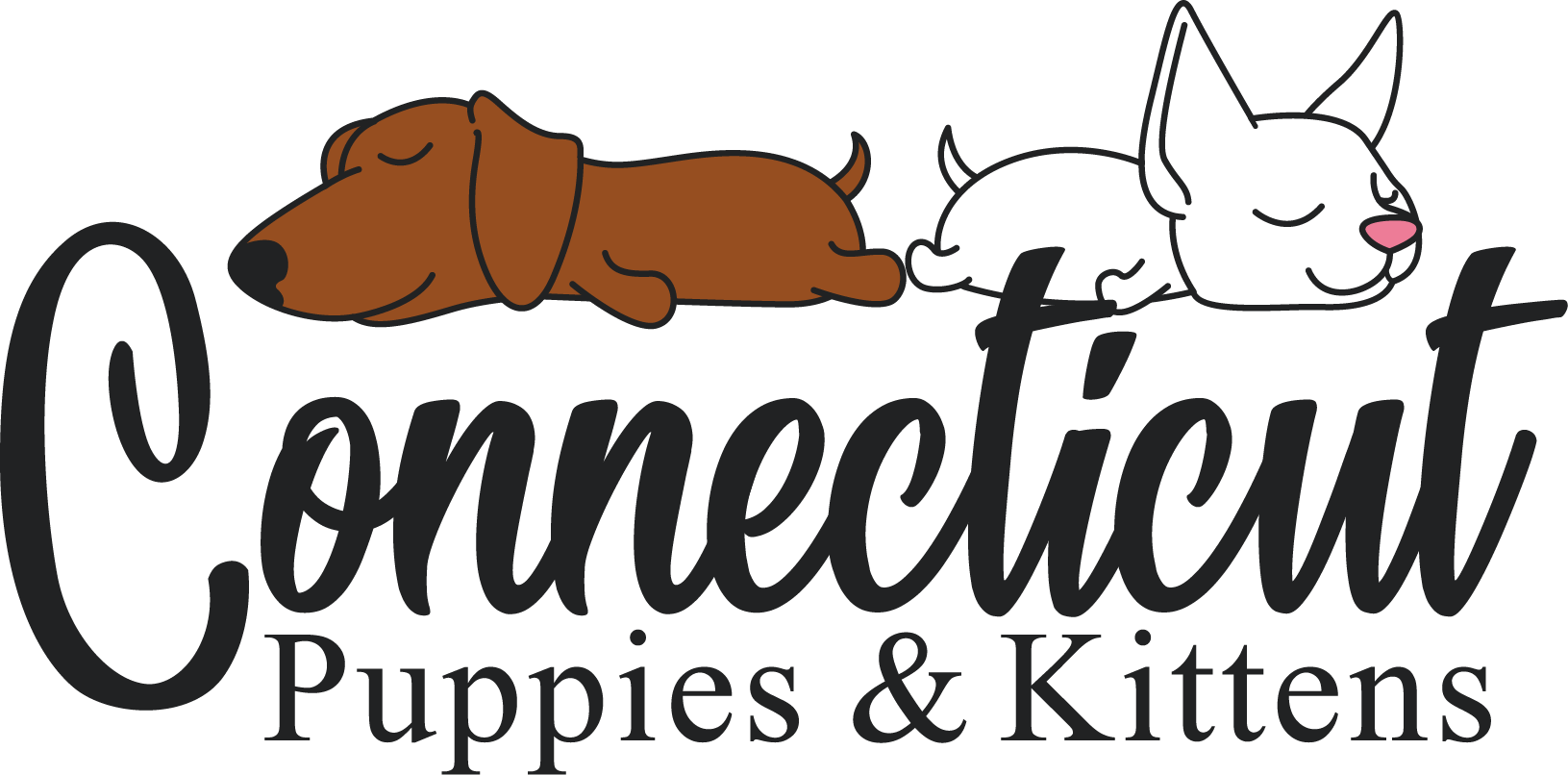 The logo for connecticut puppies and kittens shows a dog and a cat sleeping next to each other.