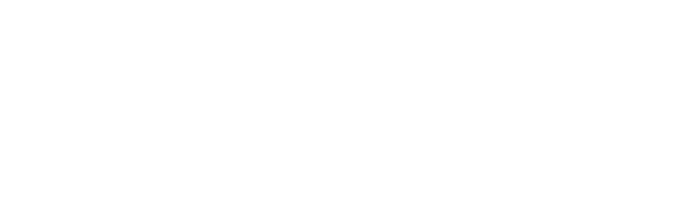 Connecticut puppies and kitten logo. 