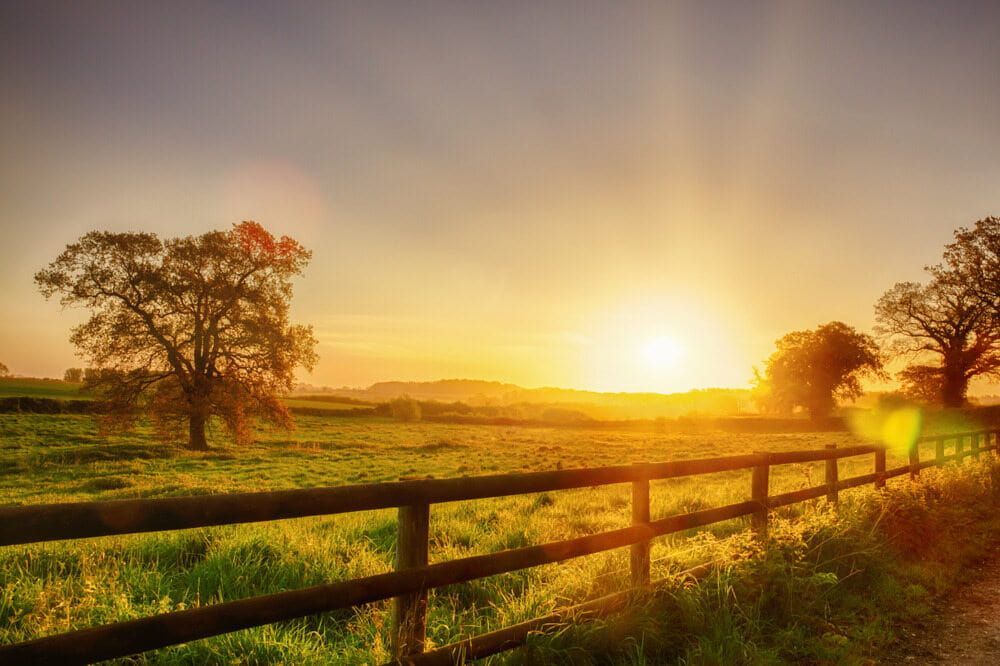 The Sun Is Setting Over A Grassy Field With A Wooden Fence In The Foreground — Smiddy's Services In Tacoma, NSW