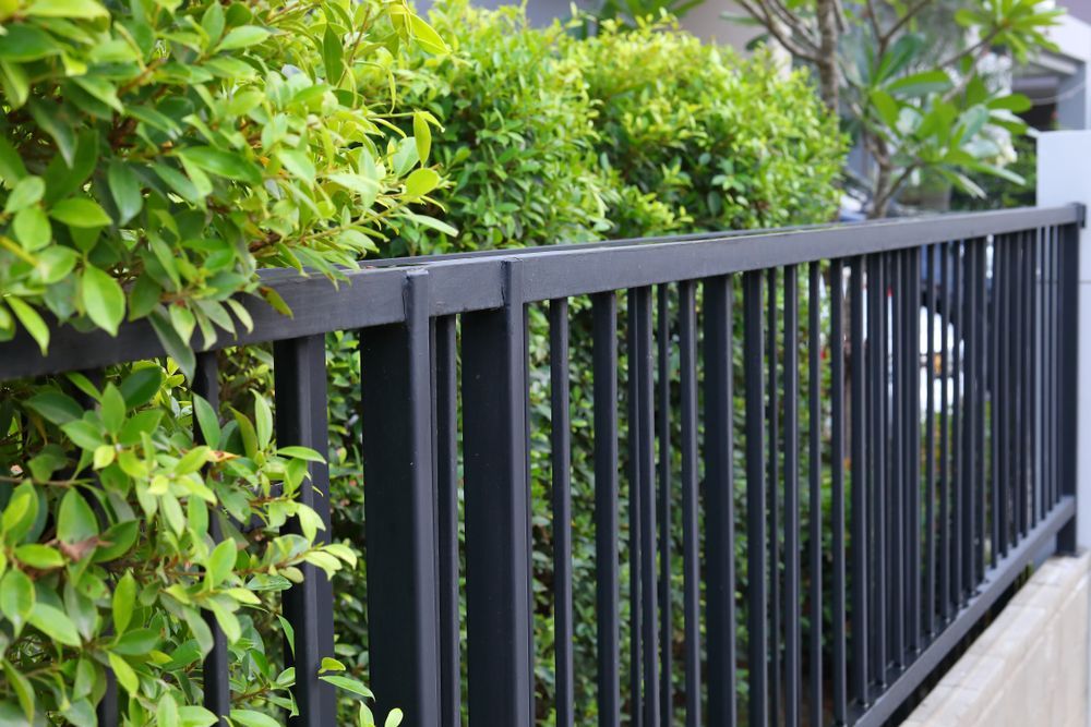 A Black Metal Fence — Smiddy's Services In Morisset, NSW