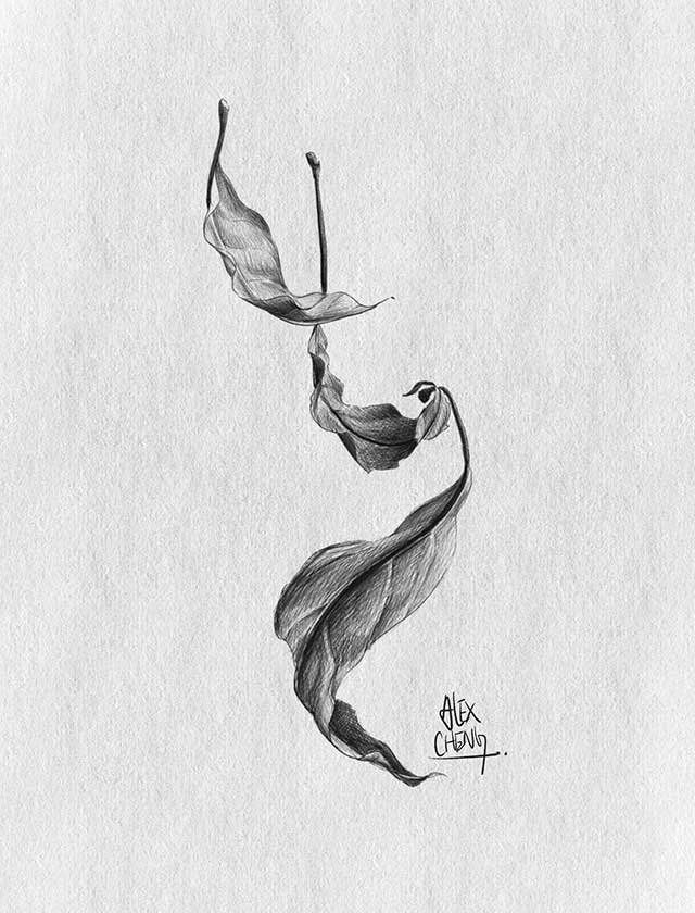 A black and white drawing of two leaves floating in the air.