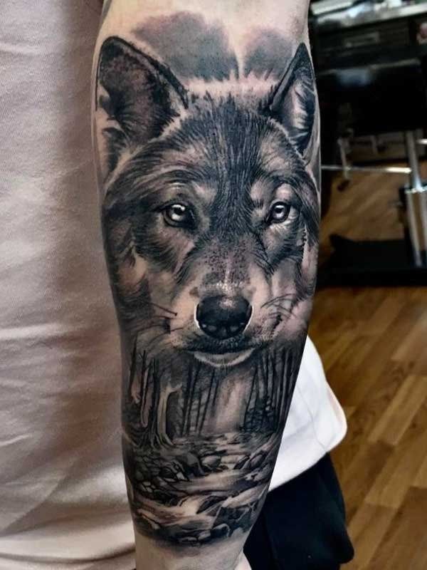 A man has a tattoo of a wolf on his forearm.