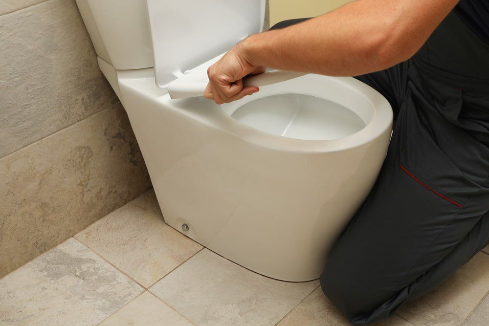 Replacing Toilet Seat — Bathroom & Laundry Renovations in Coomera, QLD