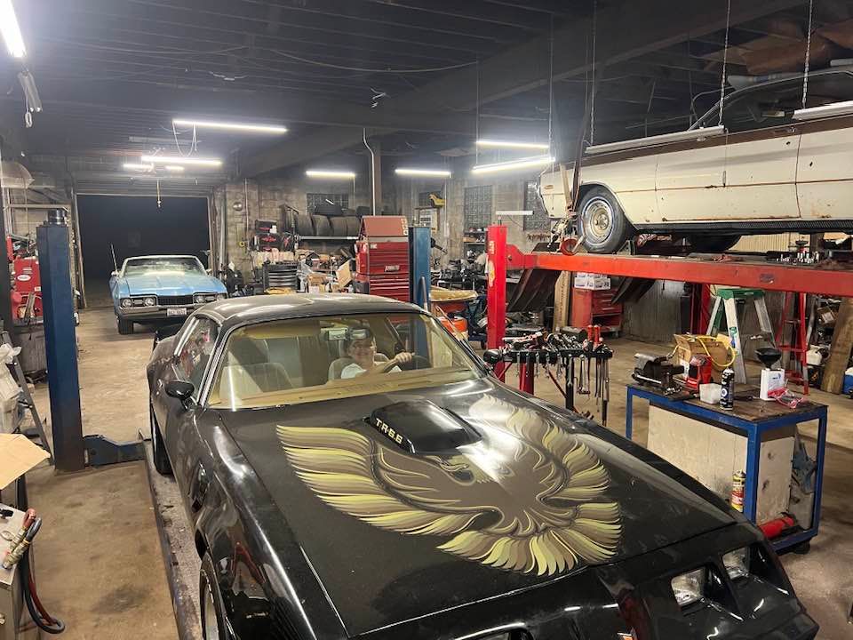 A black car with a bird on the hood is parked in a garage.