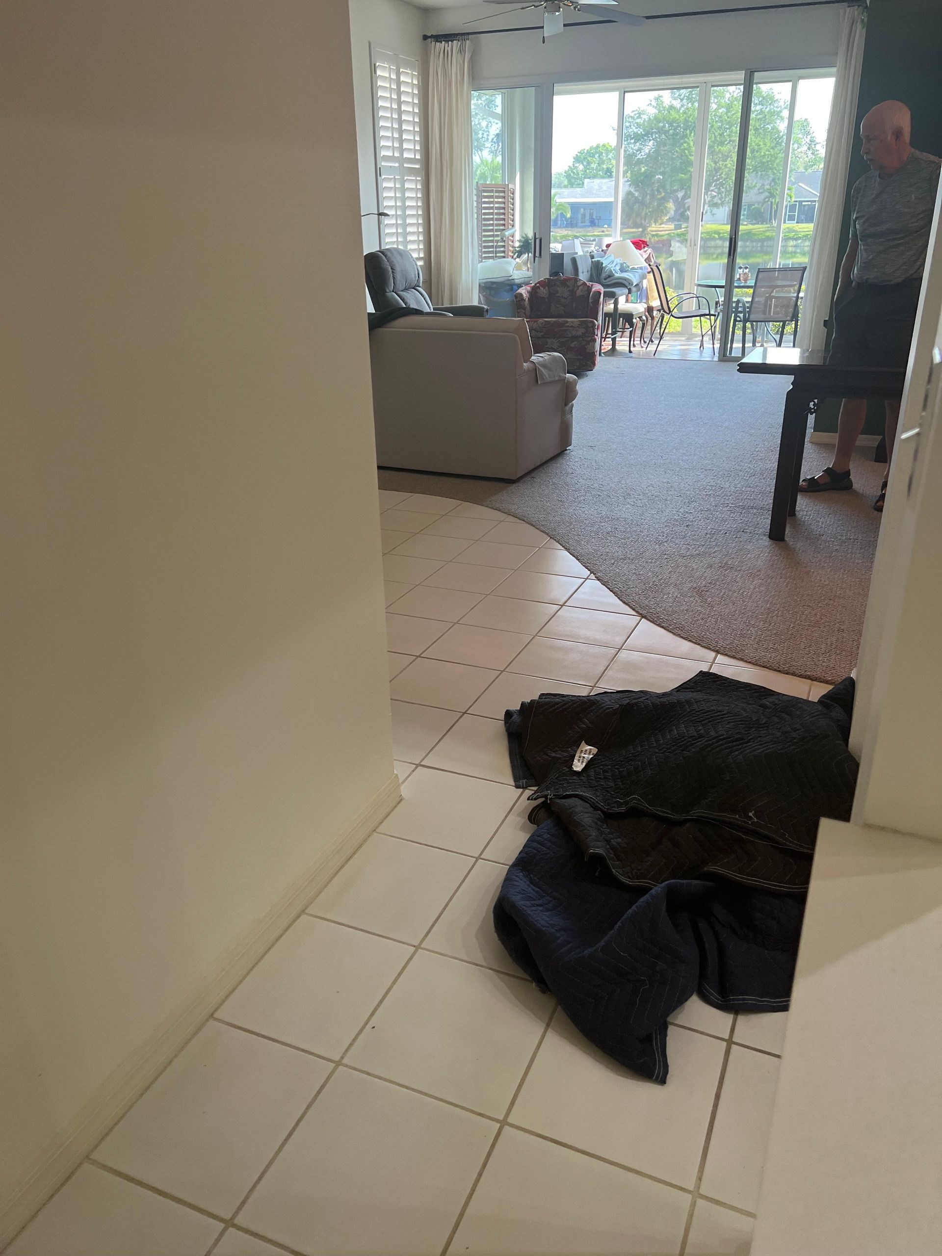 A dog is laying on the floor in a living room