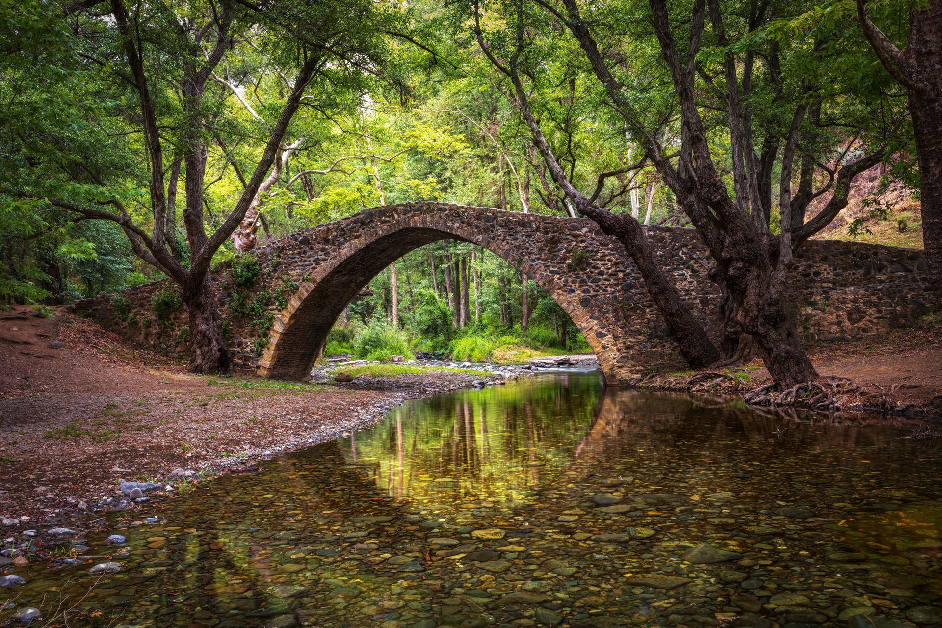 Cycling Holidays A stone bridge over a river in the middle of a forest.