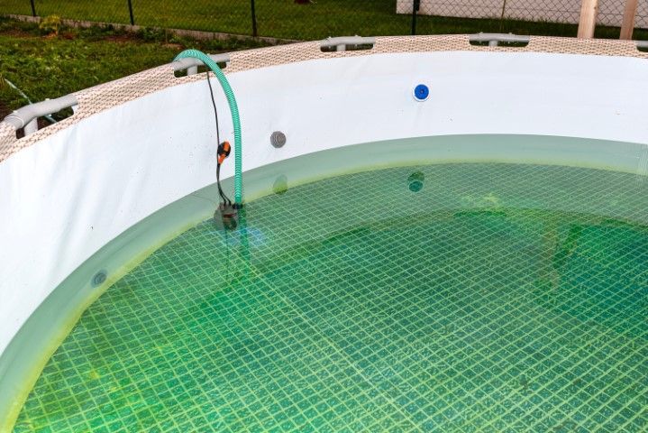 A partially filled, above-ground circular pool with green-tinted water and a pump hose hooked over the side.