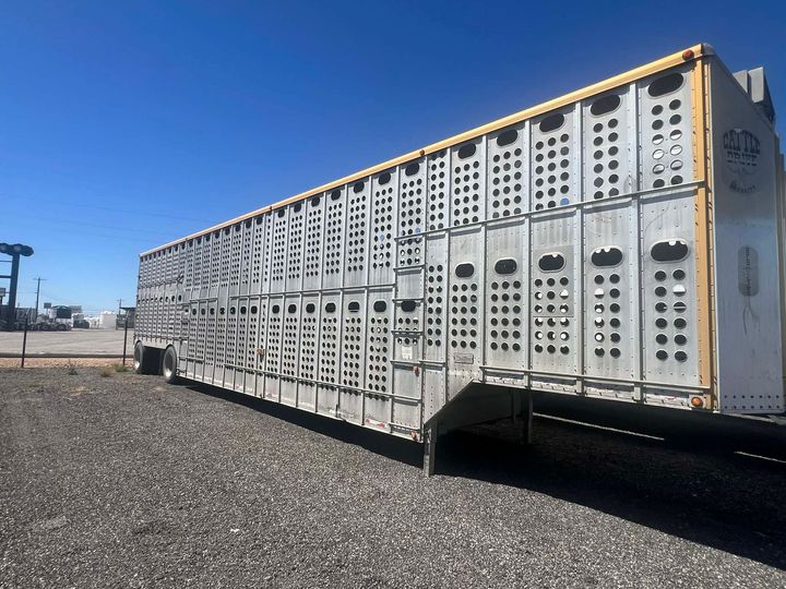 Long silver livestock trailer parked on gravel under a clear blue sky