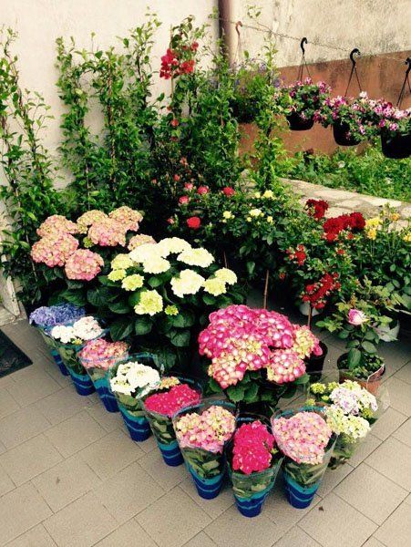 Composizioni floreali per eventi e cerimonie