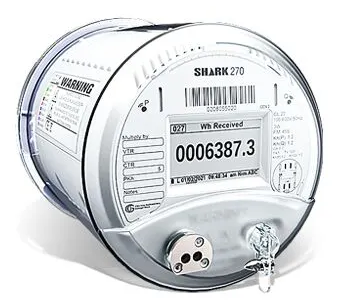 Un primer plano de un tiburón de 270 metros sobre un fondo blanco.