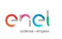 Un logotipo colorido de Enel sobre un fondo blanco.