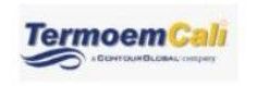 El logotipo de termoem cali está sobre un fondo blanco.