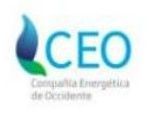 El logotipo del CEO tiene una llama azul y una hoja verde.