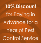 Special Offer, Pest Control in Durham, NC