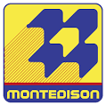 logo MONTEDISON