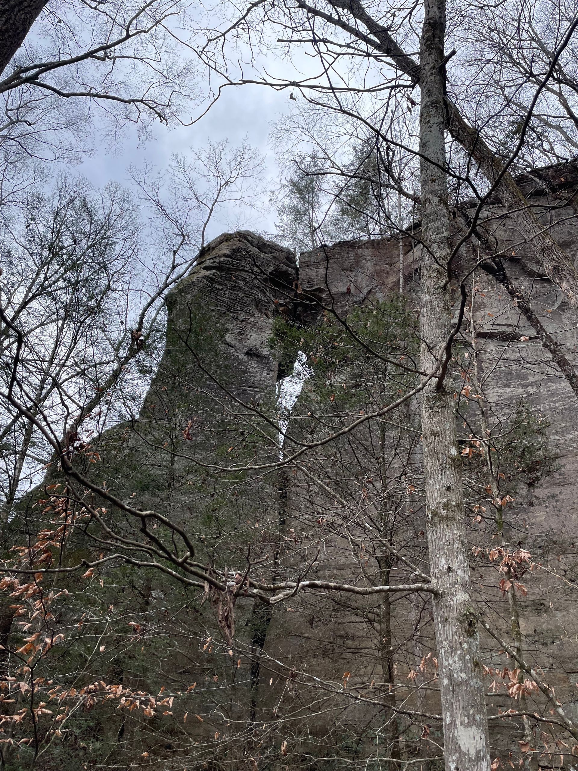 Cave Fork Recreational Preserve Rock Climbing Crag  Yacht Rock Red River Gorge