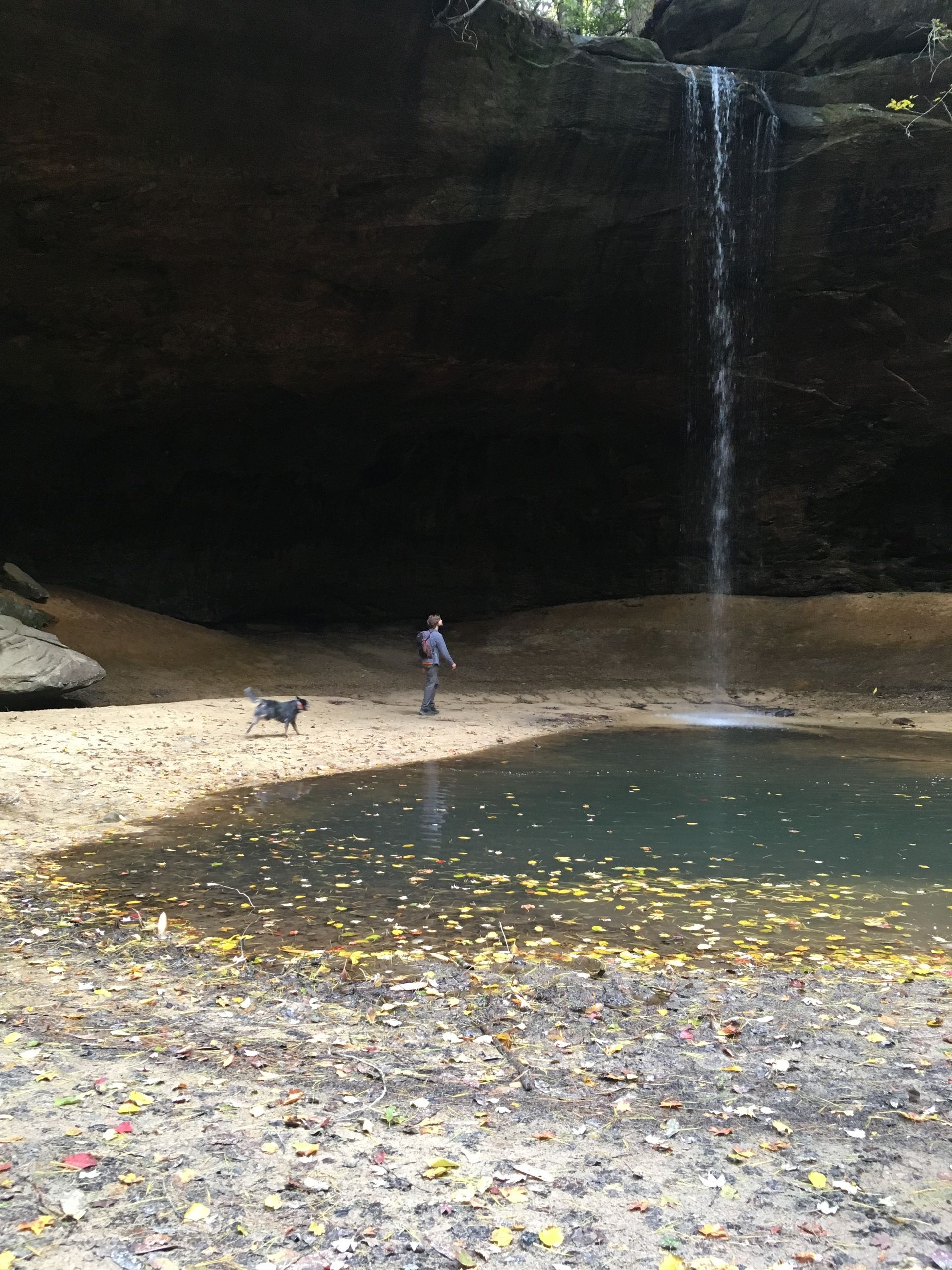 Rainy rest day hike in the red river gorge with puppy
