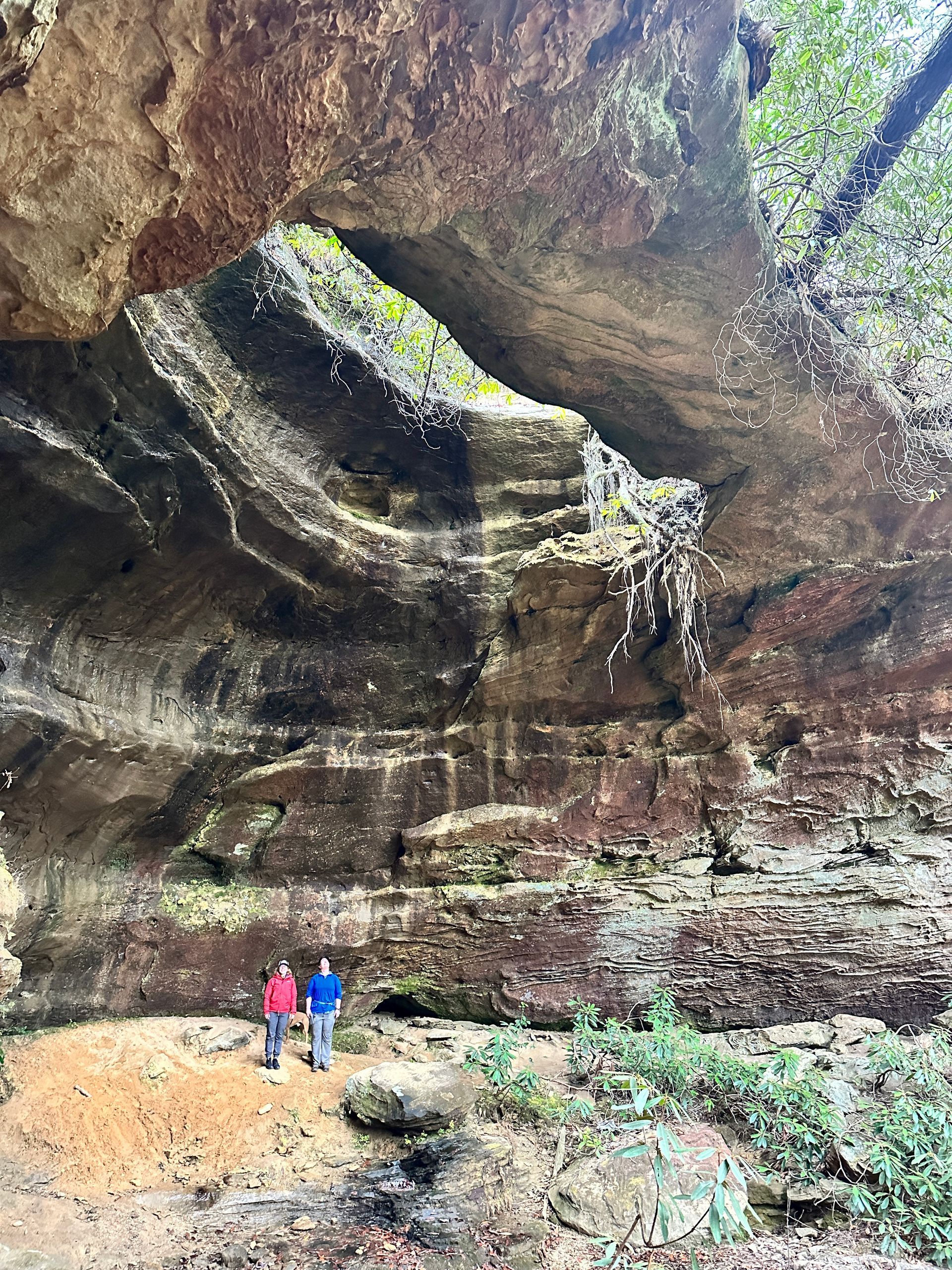 Family hike natural arch in the Red River Gorge