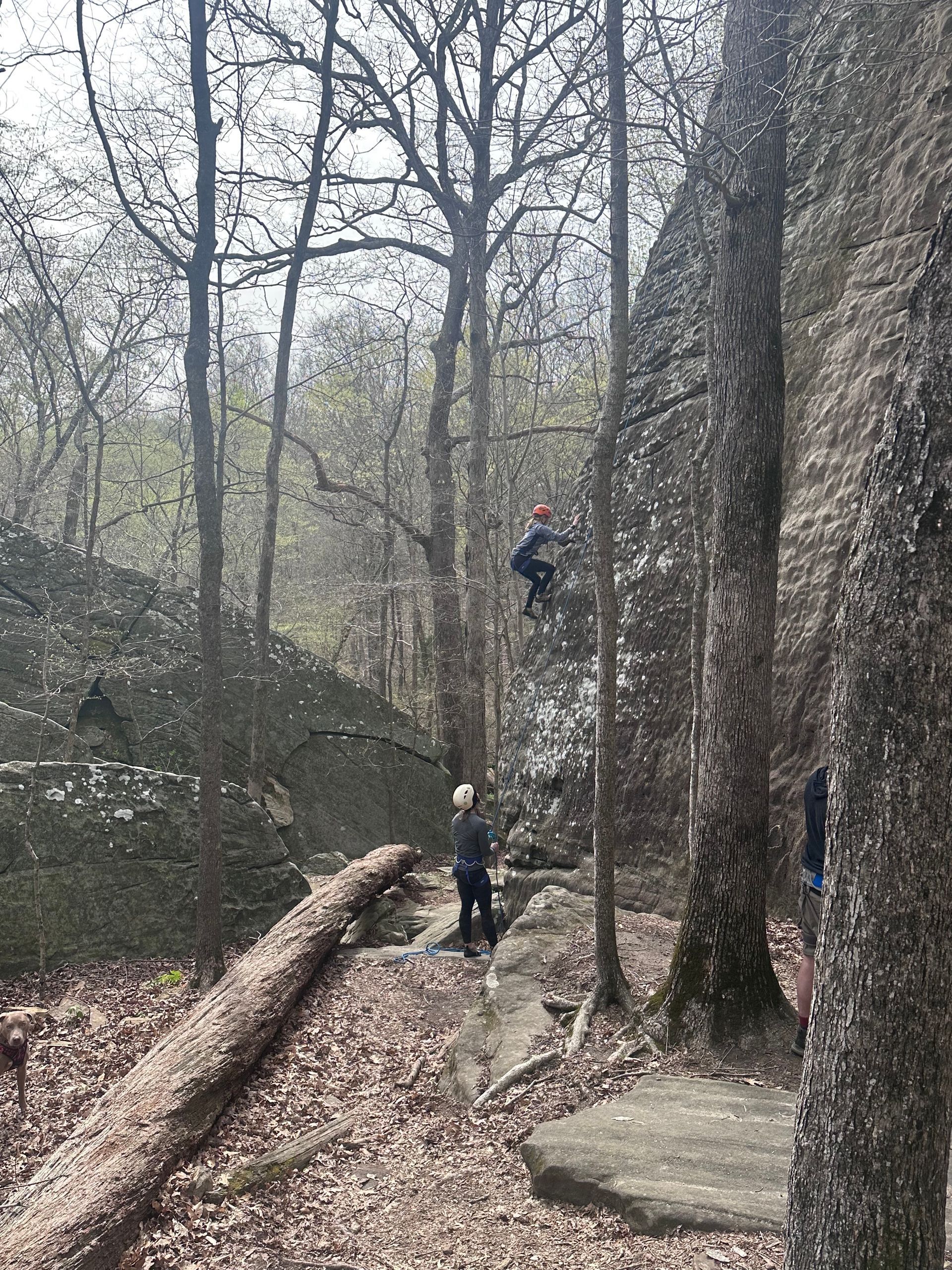 careful tick prevention is the best way to stay safe on your red river gorge climbing trip