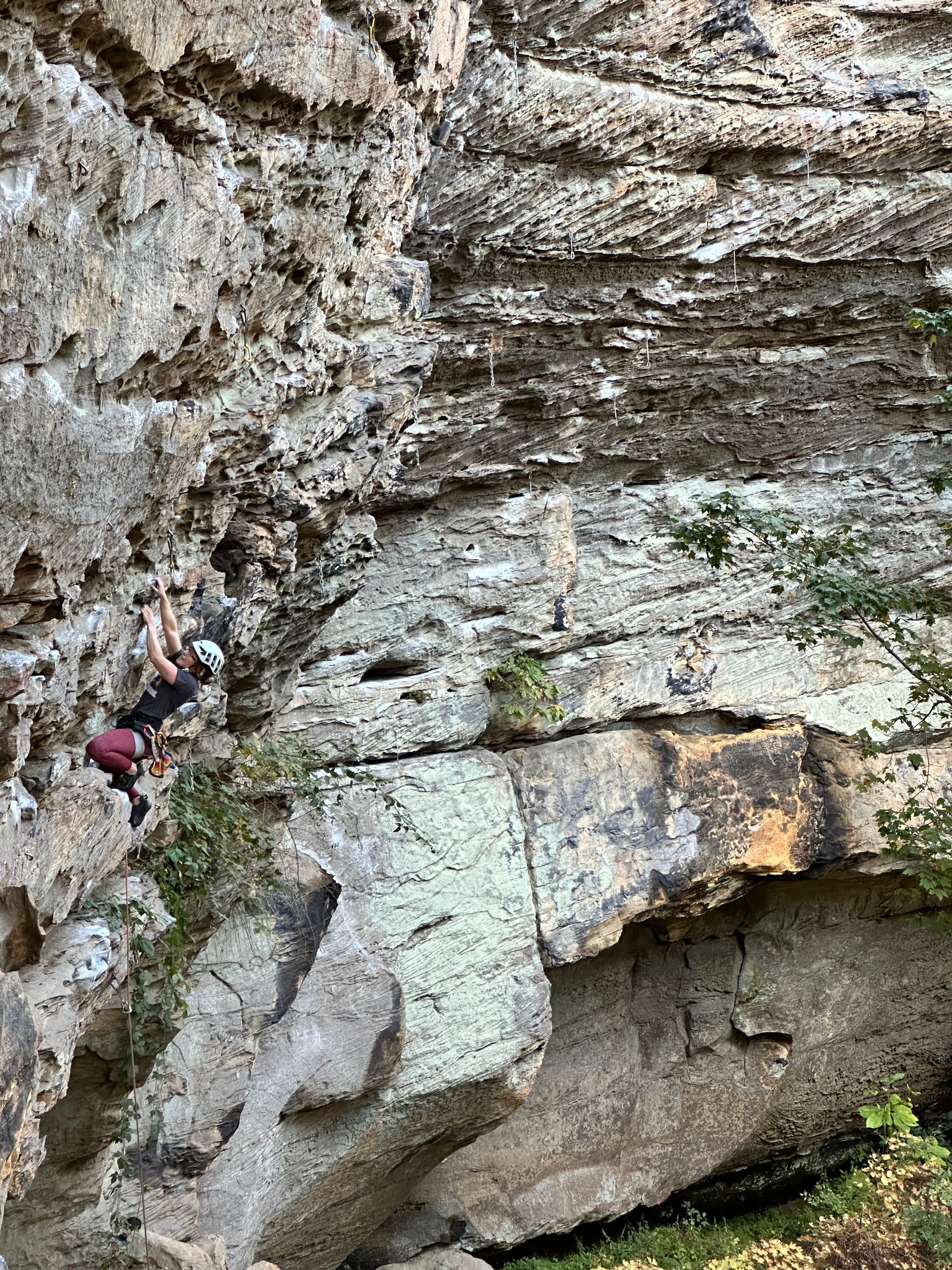 Guided sport climber scales a steep sandstone cliff in Red River Gorge, clipping quickdraws while an instructor belays and coaches from below.
