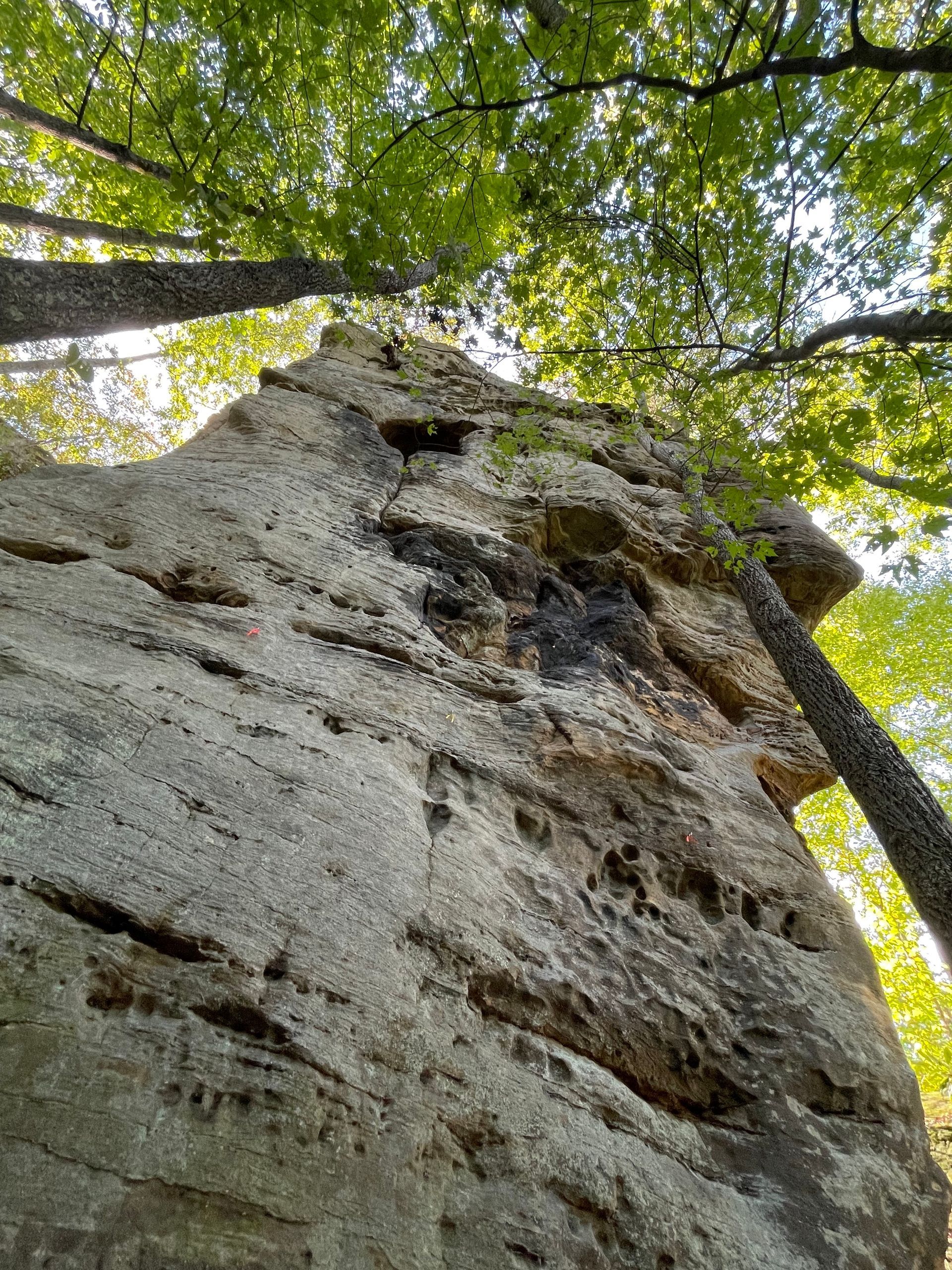 The new Red River Gorge rock climbing crag  Isengard  in Cave Fork Recreational Preserve